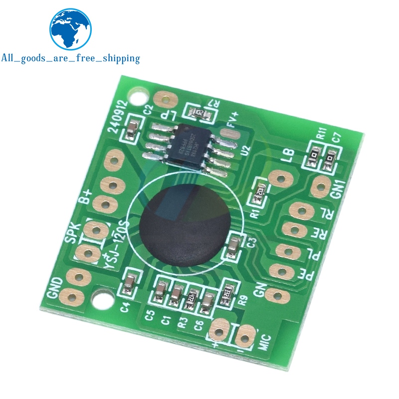 Módulo de sonido TZT para jugu - Diy Audio Electronics Kit reseña y precio